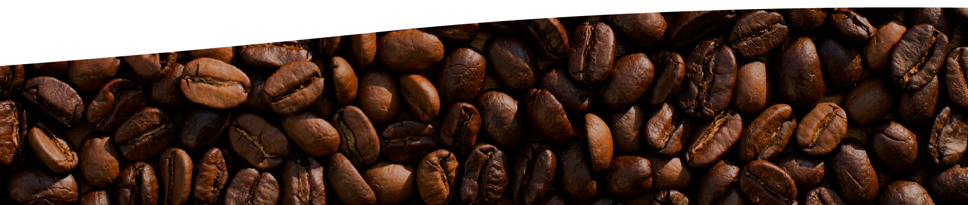 Grãos de Café Selecionados